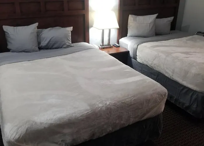 Hotel 2 Queen Beds Hotel Room 136 Wi-Fi